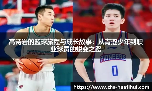 hth体育官网入口